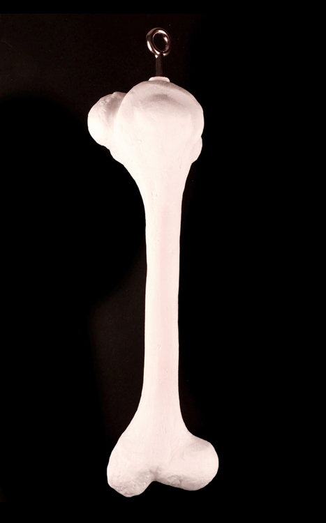 Picture of Single Bone (21")