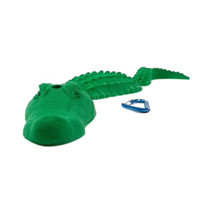 Picture of Alligator