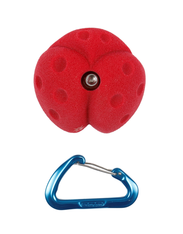 Picture of DEAL OF THE DAY Medium Lady Bug - RED