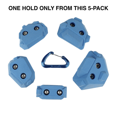 Picture of 2 Bolt Playground Climbing Holds - Hedron - ONE HOLD ONLY