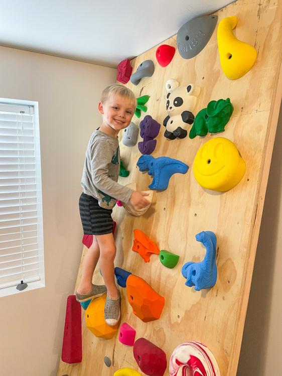 Picture of Brontosaurus Climbing Hold