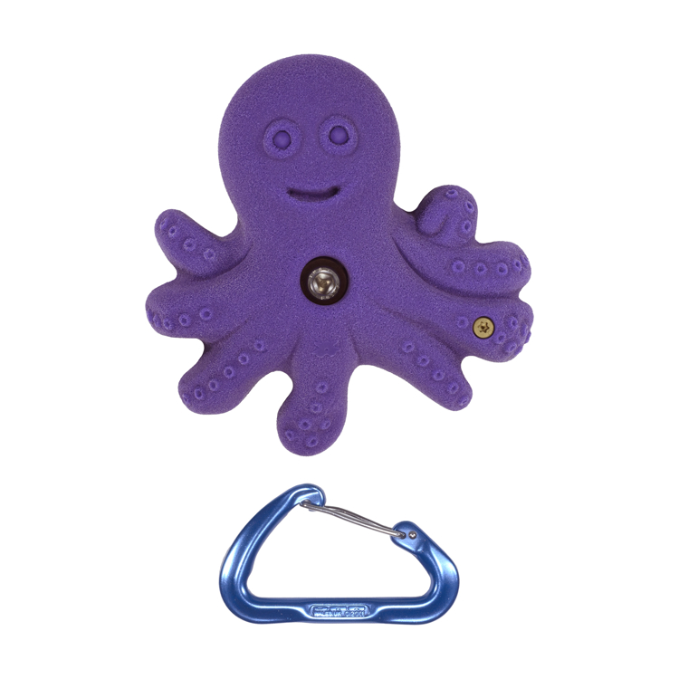 Picture of Ollie the Octopus