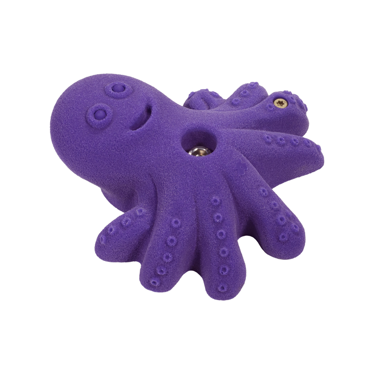 Picture of Ollie the Octopus
