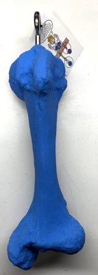 Picture of DEAL OF THE DAY Single Bone (14") BLUE