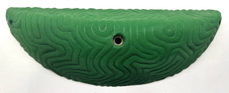 Picture of DEAL OF THE DAY XXXL Brain Coral Wedge #3 GREEN